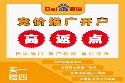 SEM广告投放的竞价策略与效果评估案例